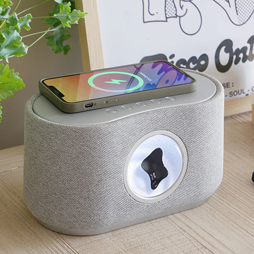 Steepletone Bluetooth speakers